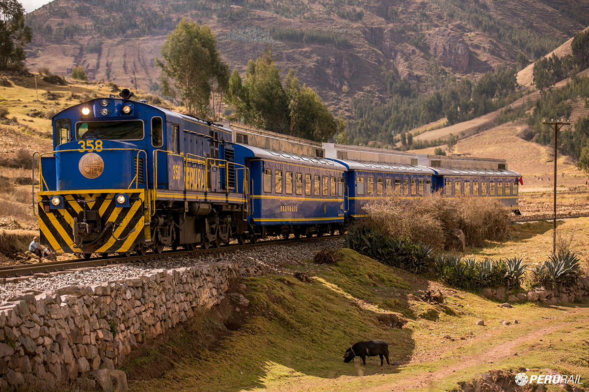 Vistadome train to Machu Picchu